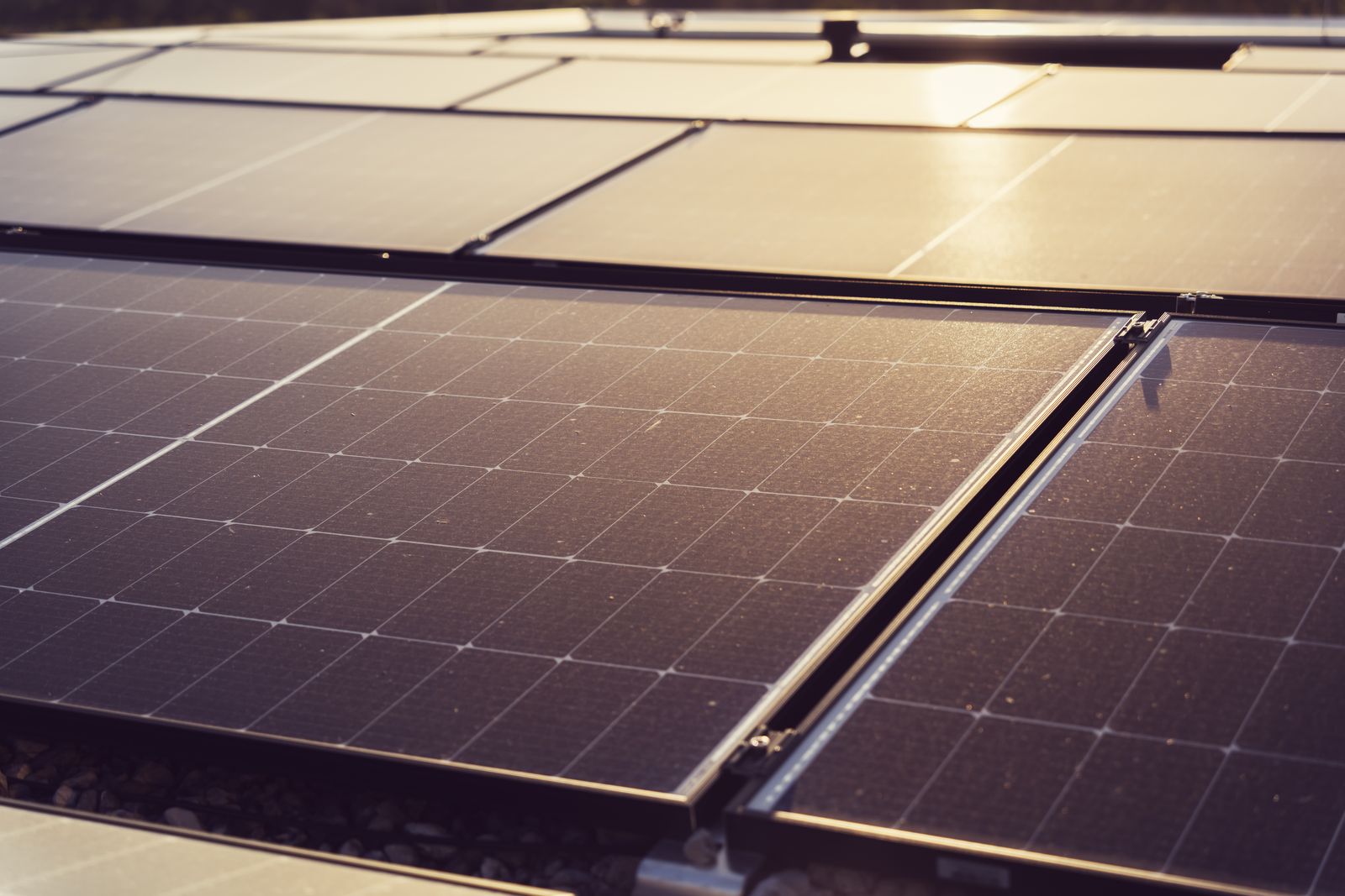 Large industrial solar rooftop installation with rows of solar panels